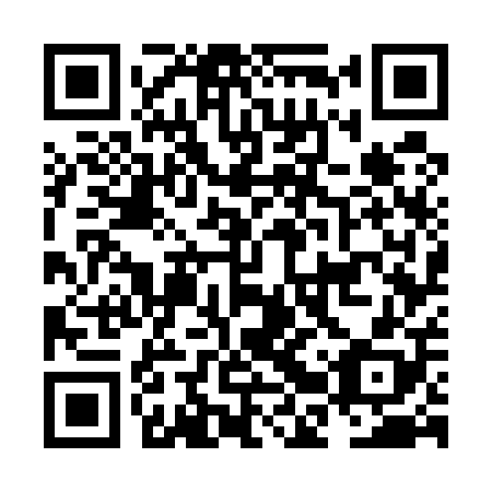 QR code for plate NBW 508