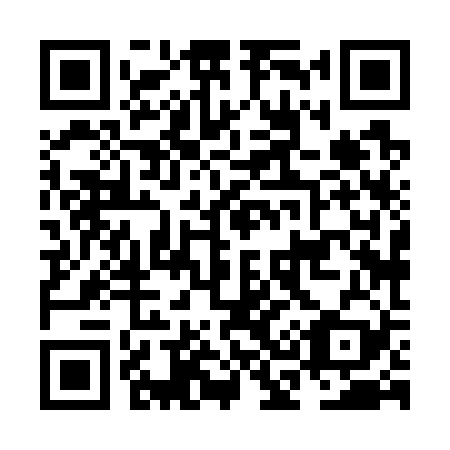 QR code for NC 8729