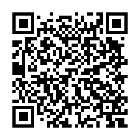 QR code for plate NCI 453