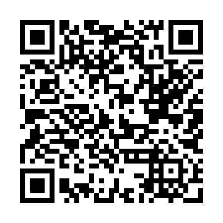 QR code for plate NCM 391