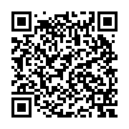 QR code for NCS 294