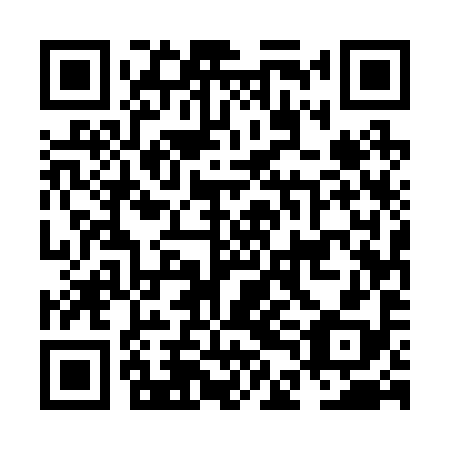 QR code for plate NDE 298
