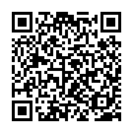 QR code for plate NDF 291