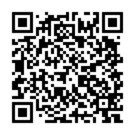 QR code for plate NDG 499