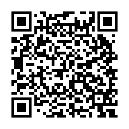 QR code for plate NDJ 294