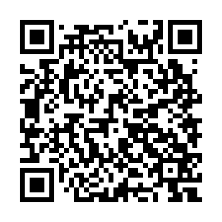 QR code for plate NDN 363