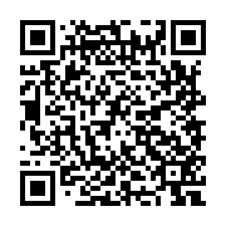 QR code for plate NDN 953