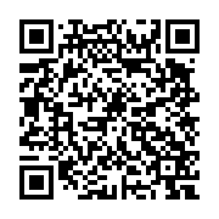 QR code for NDO 463