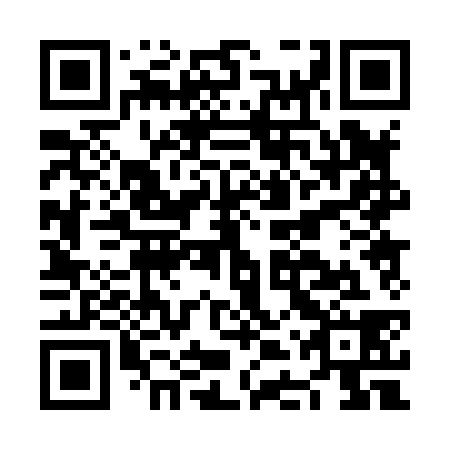 QR code for plate NDP 838