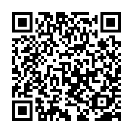 QR code for plate NDV 388