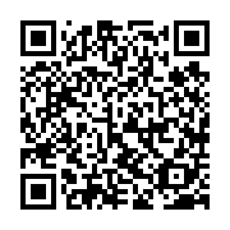 QR code for plate NDX 608