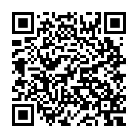 QR code for NE 1317