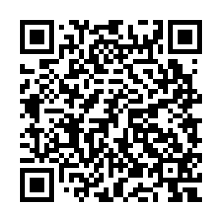 QR code for NE 4313