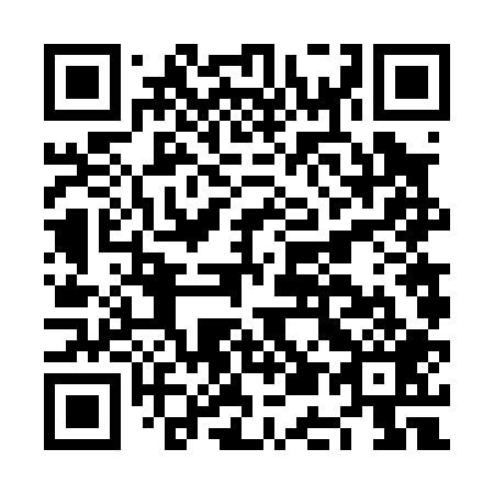 QR code for NE 6009