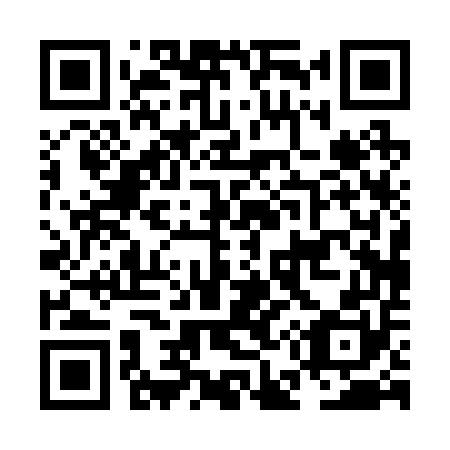 QR code for plate NE 0250