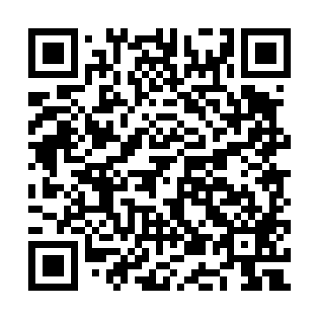 QR code for plate NE 0489