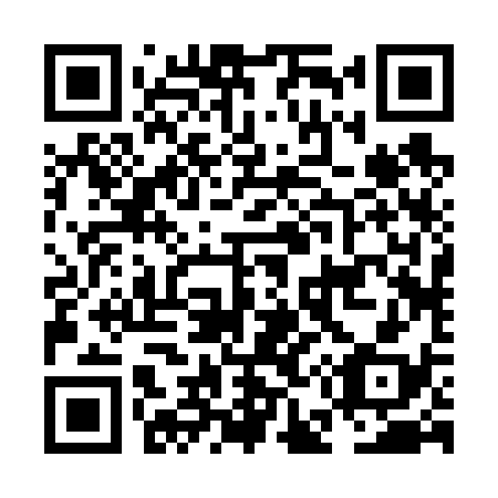 QR code for NE2638