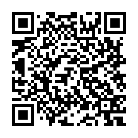 QR code for plate NE 2933