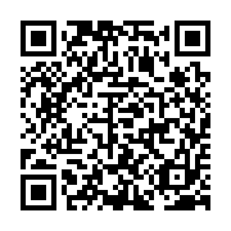 QR code for plate NE 3313