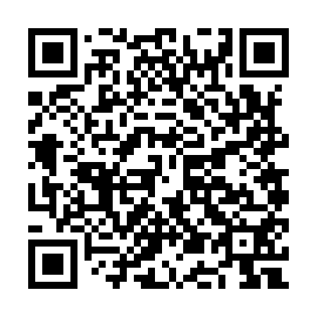 QR code for plate NE 6950