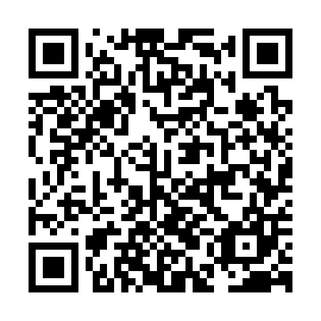 QR code for plate NEG 307
