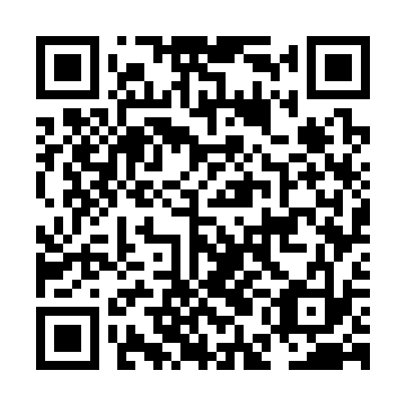QR code for plate NEG 333