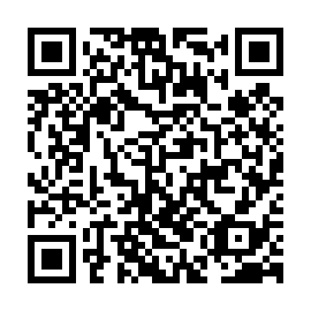 QR code for NEG438