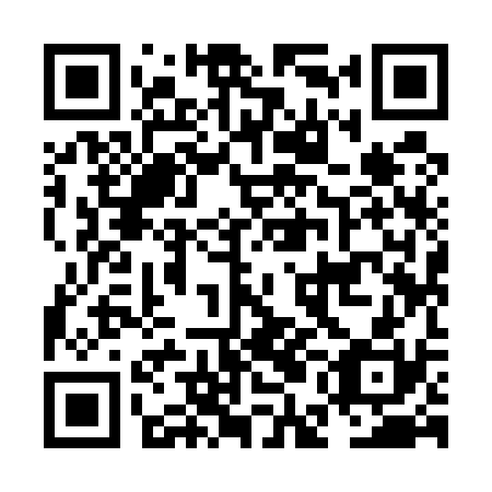 QR code for NEI 530