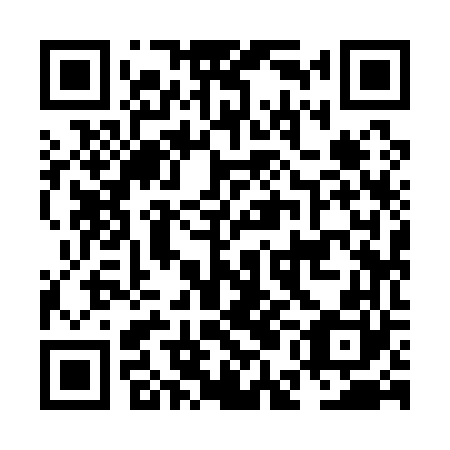 QR code for plate NEI 160