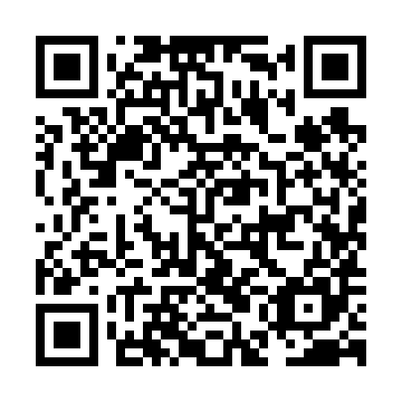 QR code for plate NEI 685