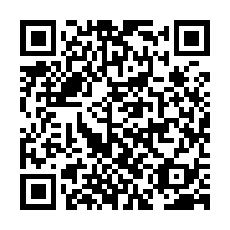 QR code for NEI939