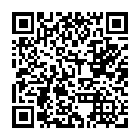 QR code for NEL 411