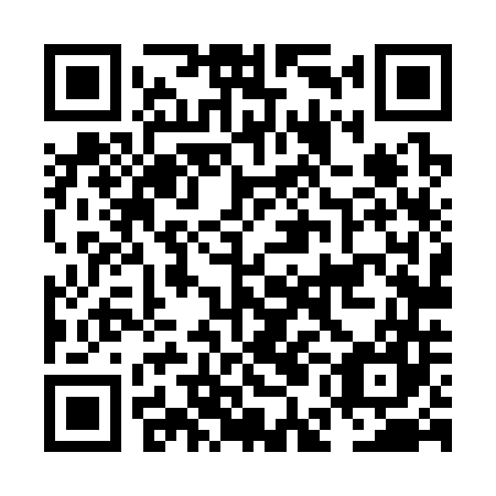 QR code for NEL347
