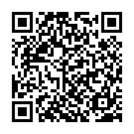 QR code for plate NEM 037