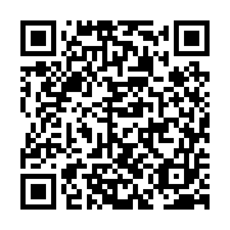 QR code for plate NEM 253
