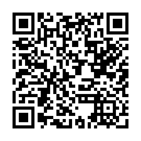 QR code for NEM313