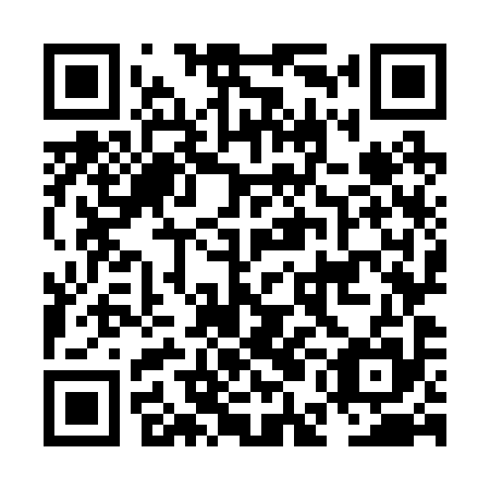 QR code for NEO 295