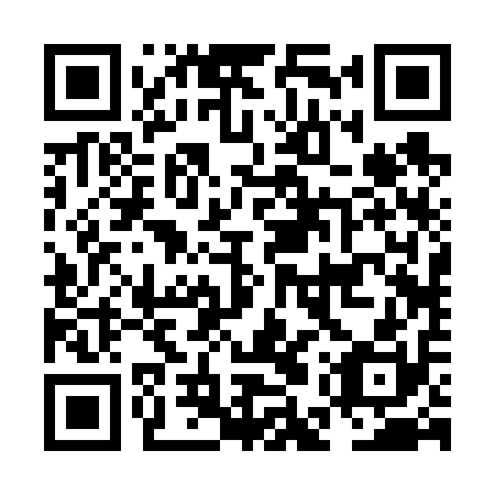 QR code for plate NER 610