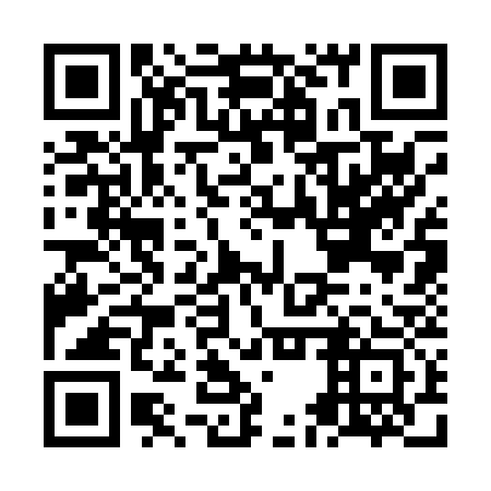 QR code for NES 033