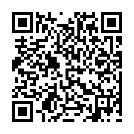 QR code for NES 176