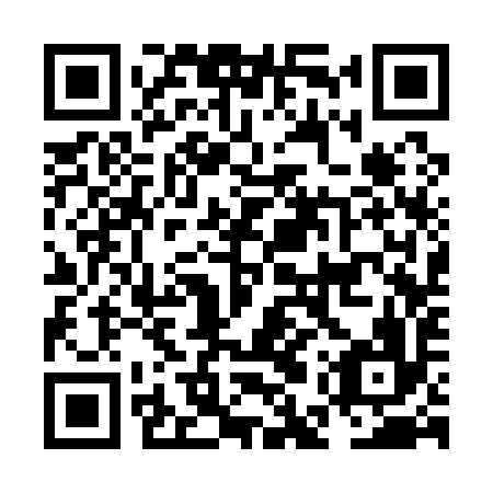 QR code for NES 196