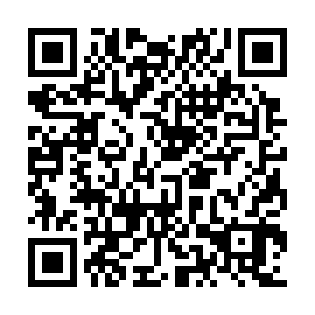 QR code for NES 302