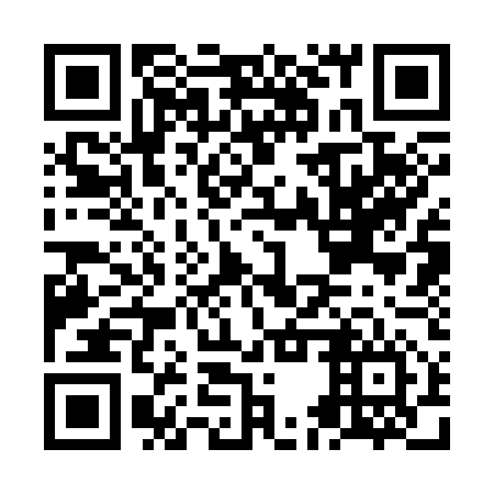 QR code for NES 356