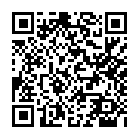 QR code for NES 489