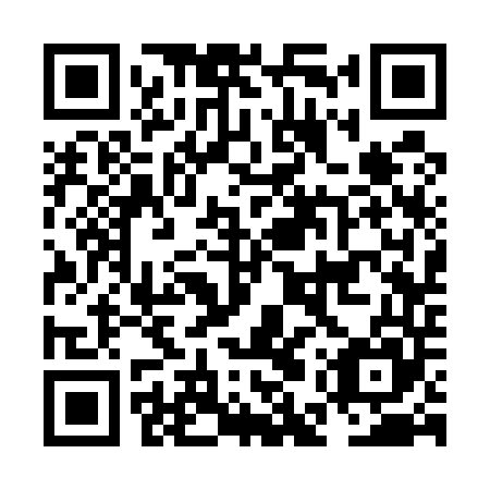 QR code for NES 545