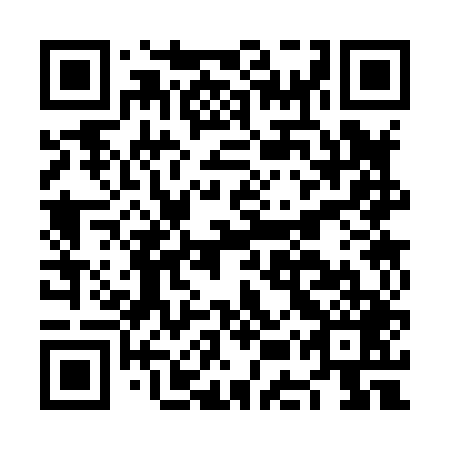 QR code for NES 849