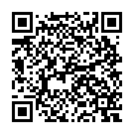 QR code for plate NES 316