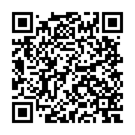QR code for NES553