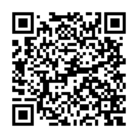 QR code for plate NES 569