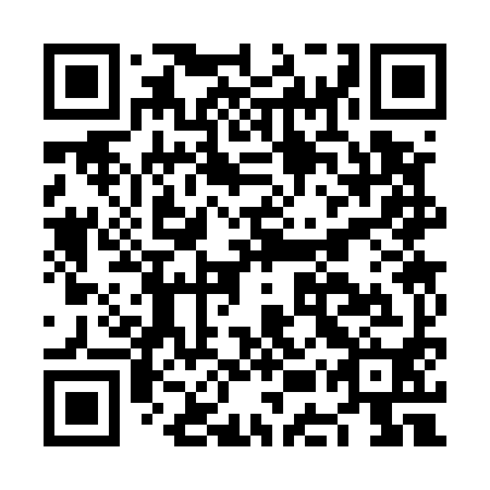 QR code for NES590